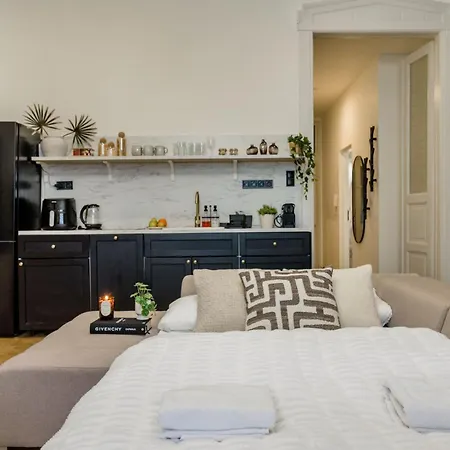 Charm In Budapest's Bustling 7th District * 布达佩斯