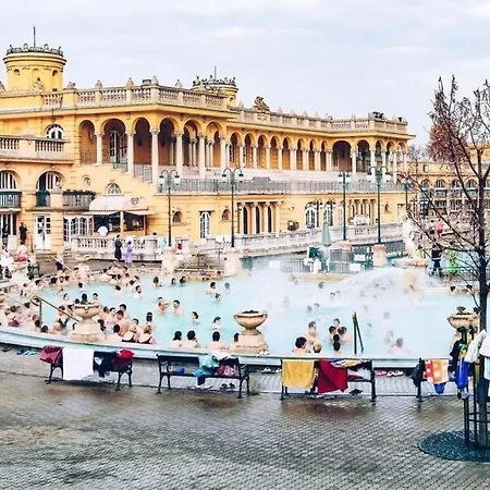 Charm In Budapest's Bustling 7th District *