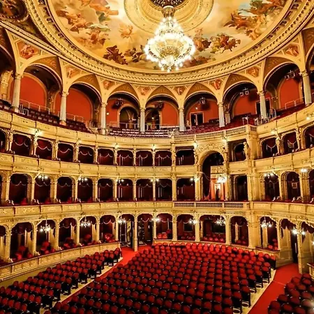 Charm In Budapest's Bustling 7th District